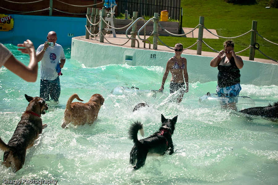 Wags & Waves Shagly Photography