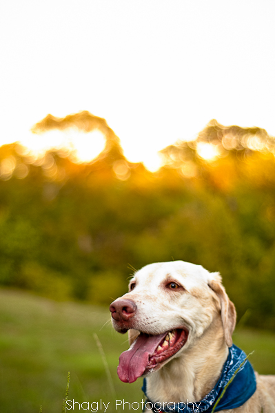 Shagly Photography-10