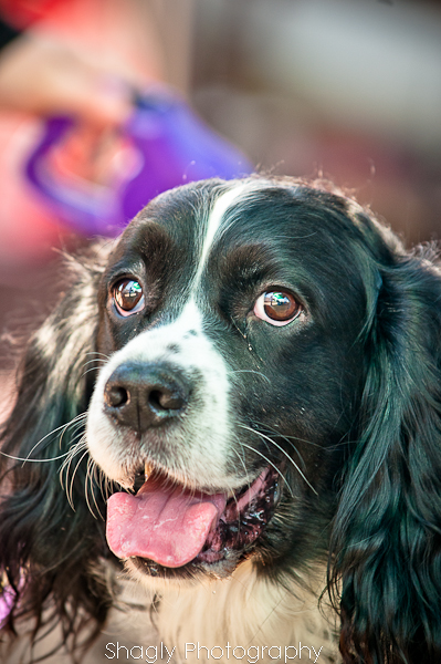 Shagly Photography-10