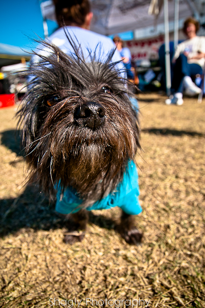 Shagly Photography-12