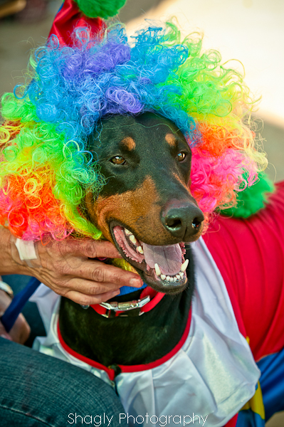 Shagly Photography-5