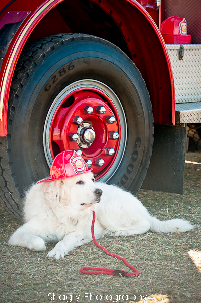 Shagly Photography-7