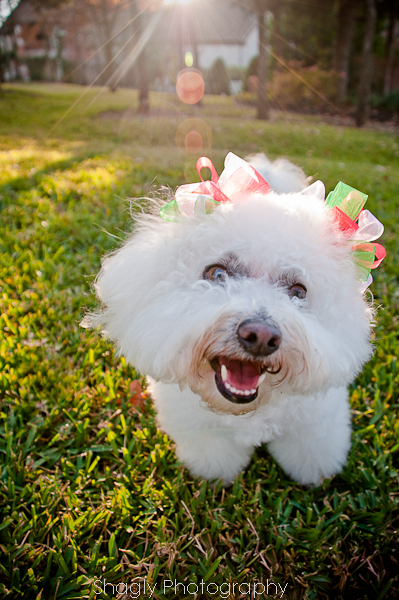 Tess and Maggie Mae-2