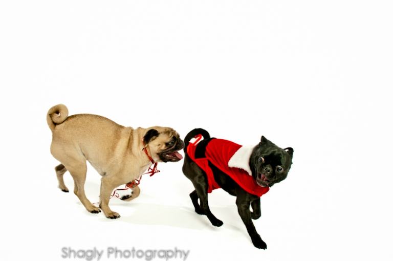 Just say no to Santa