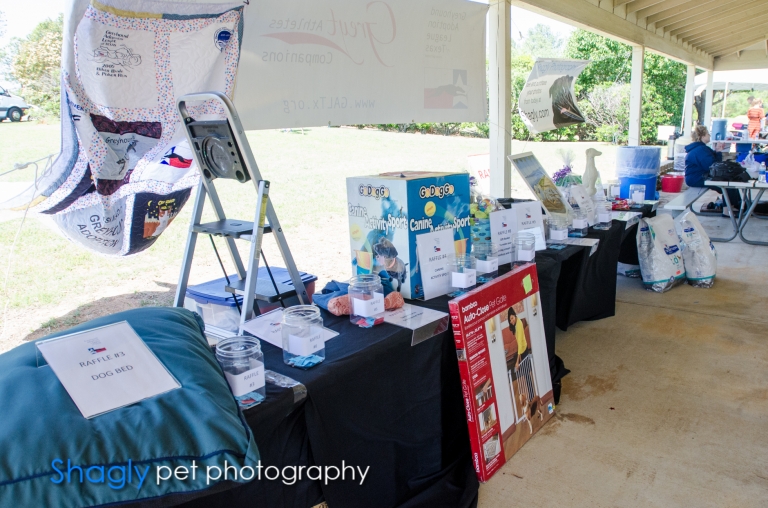 Shagly pet photography-GALT Birthday-5